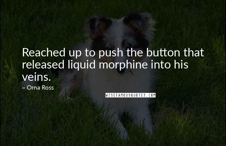 Orna Ross Quotes: Reached up to push the button that released liquid morphine into his veins.