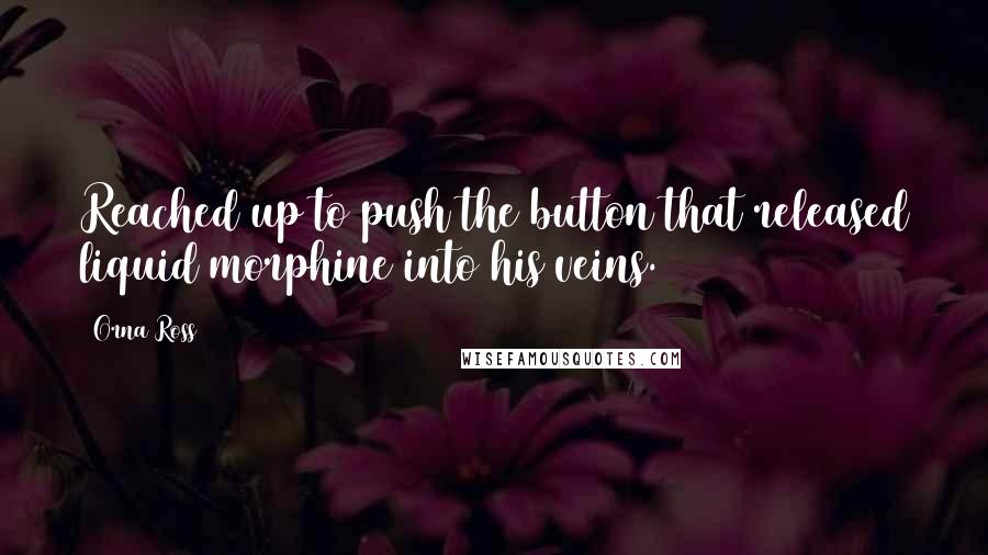 Orna Ross Quotes: Reached up to push the button that released liquid morphine into his veins.