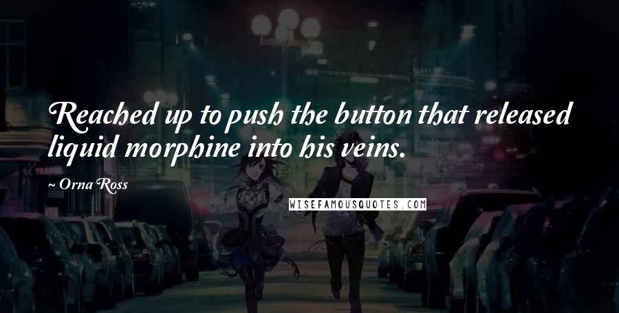 Orna Ross Quotes: Reached up to push the button that released liquid morphine into his veins.