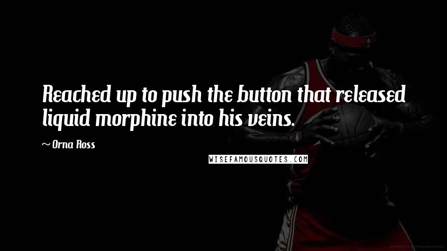 Orna Ross Quotes: Reached up to push the button that released liquid morphine into his veins.