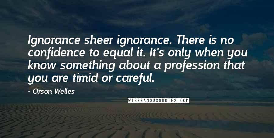 Orson Welles Quotes: Ignorance sheer ignorance. There is no confidence to equal it. It's only when you know something about a profession that you are timid or careful.