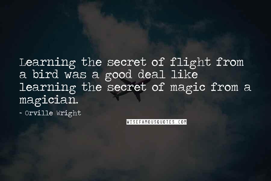 Orville Wright Quotes: Learning the secret of flight from a bird was a good deal like learning the secret of magic from a magician.