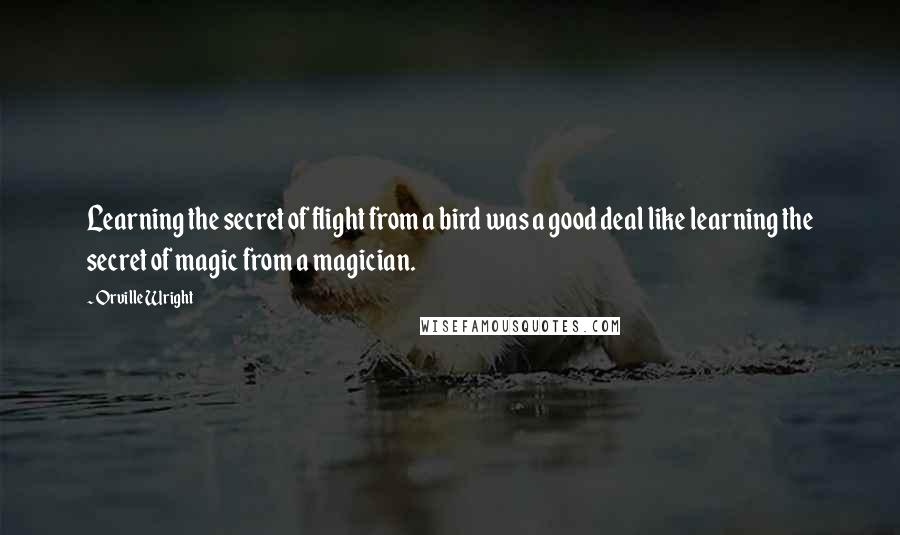 Orville Wright Quotes: Learning the secret of flight from a bird was a good deal like learning the secret of magic from a magician.