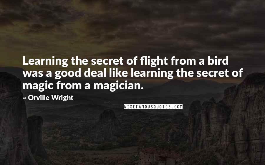 Orville Wright Quotes: Learning the secret of flight from a bird was a good deal like learning the secret of magic from a magician.