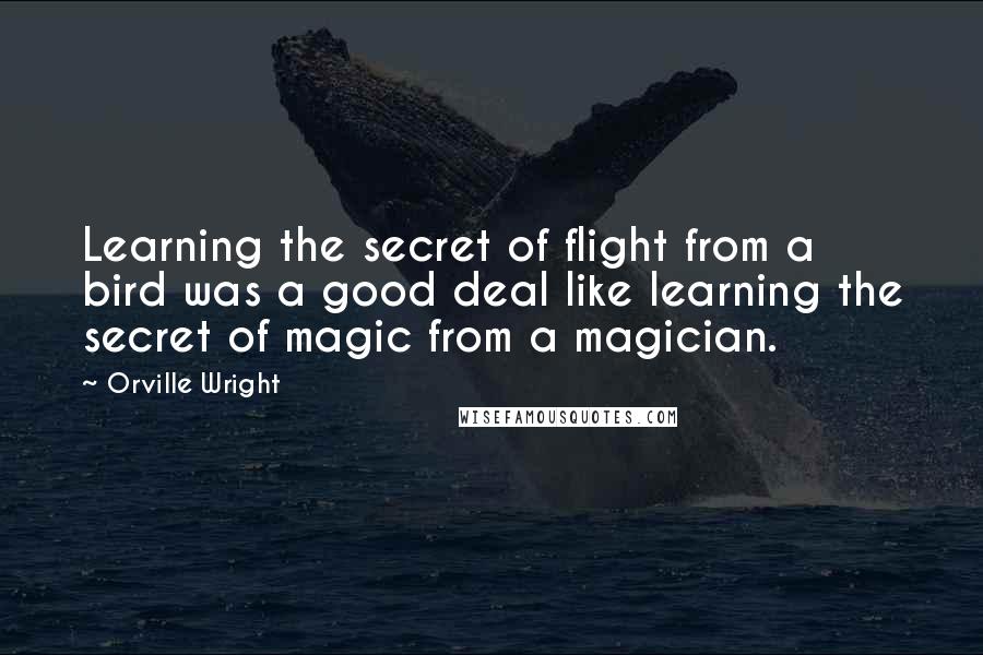 Orville Wright Quotes: Learning the secret of flight from a bird was a good deal like learning the secret of magic from a magician.