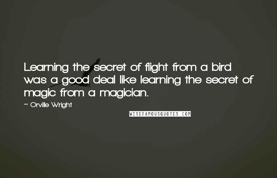 Orville Wright Quotes: Learning the secret of flight from a bird was a good deal like learning the secret of magic from a magician.