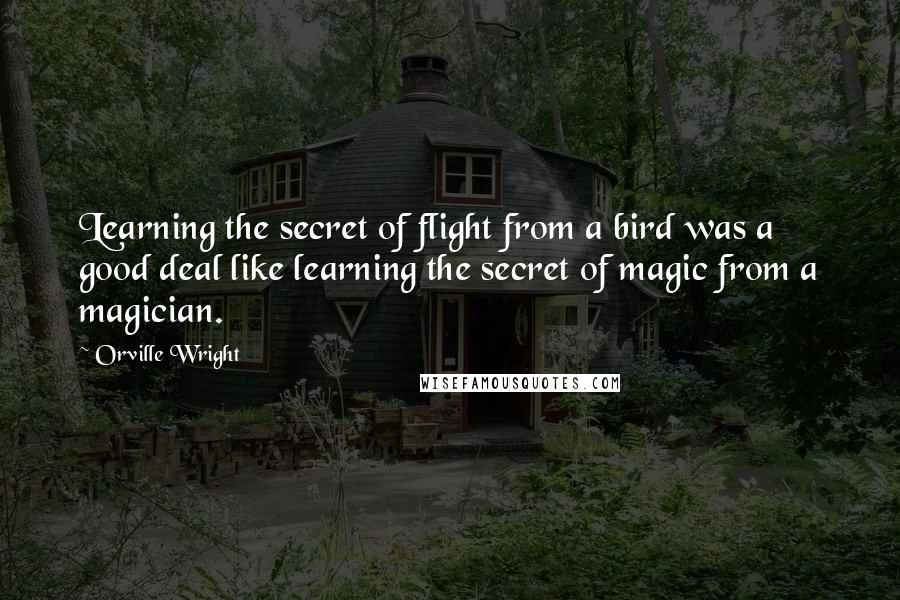 Orville Wright Quotes: Learning the secret of flight from a bird was a good deal like learning the secret of magic from a magician.