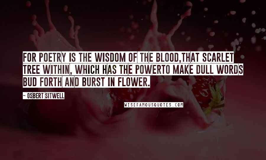 Osbert Sitwell Quotes: For Poetry is the wisdom of the blood,That scarlet tree within, which has the powerTo make dull words bud forth and burst in flower.