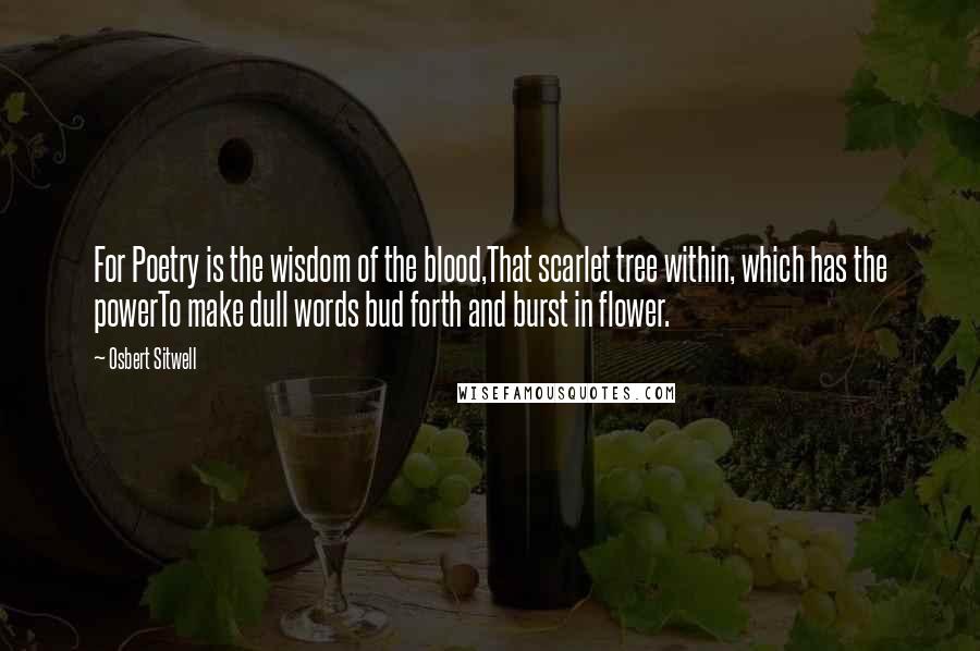 Osbert Sitwell Quotes: For Poetry is the wisdom of the blood,That scarlet tree within, which has the powerTo make dull words bud forth and burst in flower.