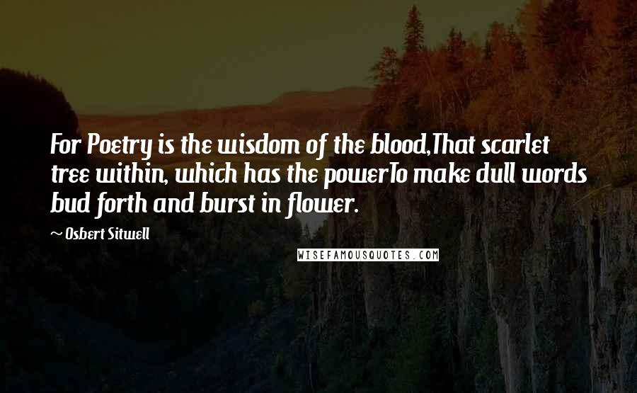 Osbert Sitwell Quotes: For Poetry is the wisdom of the blood,That scarlet tree within, which has the powerTo make dull words bud forth and burst in flower.