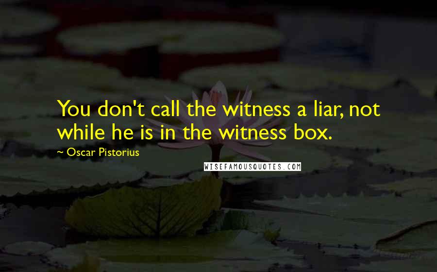 Oscar Pistorius Quotes: You don't call the witness a liar, not while he is in the witness box.