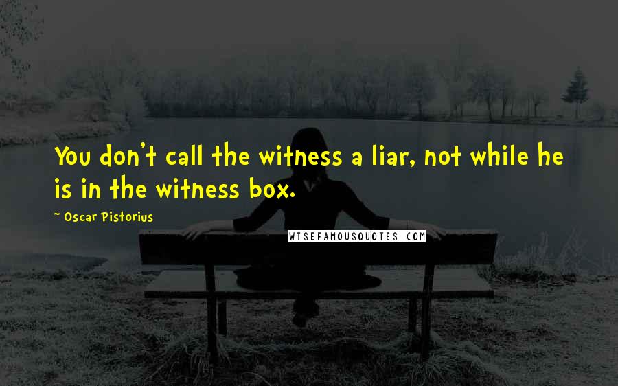 Oscar Pistorius Quotes: You don't call the witness a liar, not while he is in the witness box.