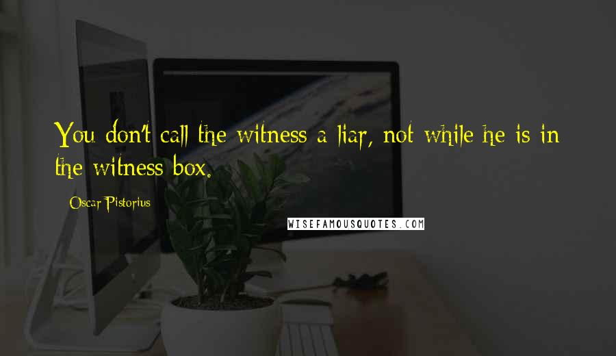 Oscar Pistorius Quotes: You don't call the witness a liar, not while he is in the witness box.