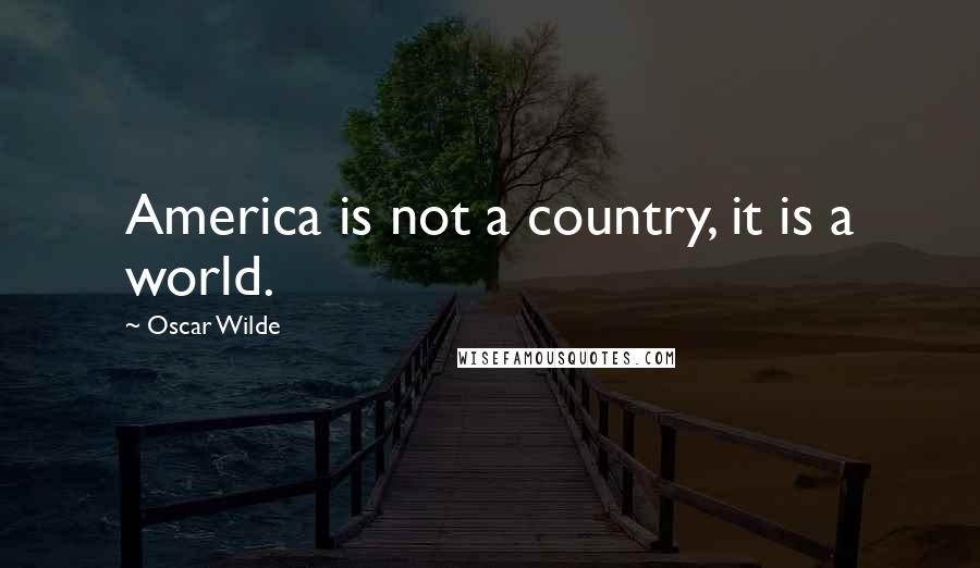 Oscar Wilde Quotes: America is not a country, it is a world.