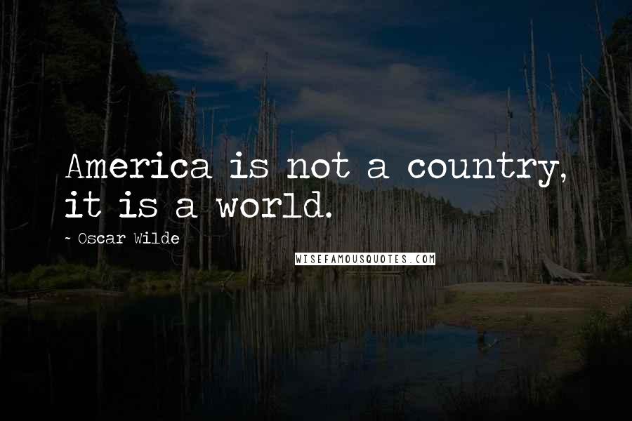 Oscar Wilde Quotes: America is not a country, it is a world.