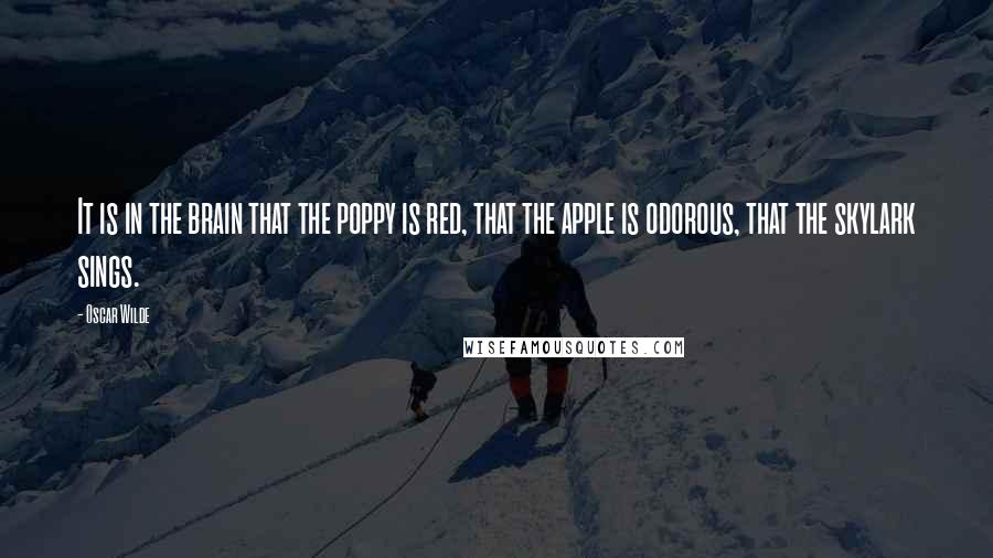 Oscar Wilde Quotes: It is in the brain that the poppy is red, that the apple is odorous, that the skylark sings.