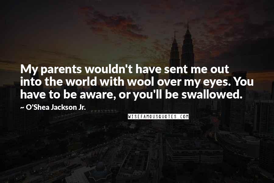 O'Shea Jackson Jr. Quotes: My parents wouldn't have sent me out into the world with wool over my eyes. You have to be aware, or you'll be swallowed.