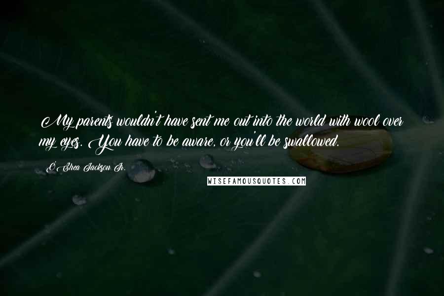 O'Shea Jackson Jr. Quotes: My parents wouldn't have sent me out into the world with wool over my eyes. You have to be aware, or you'll be swallowed.