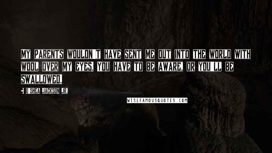 O'Shea Jackson Jr. Quotes: My parents wouldn't have sent me out into the world with wool over my eyes. You have to be aware, or you'll be swallowed.