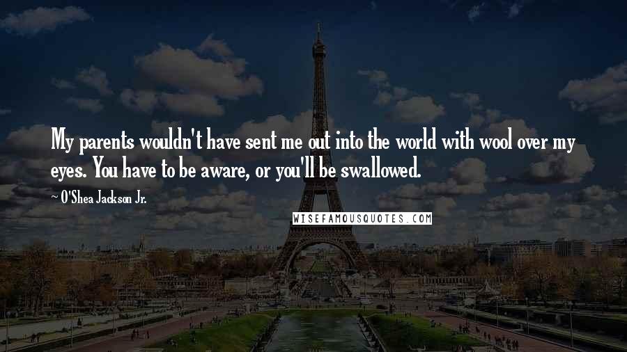 O'Shea Jackson Jr. Quotes: My parents wouldn't have sent me out into the world with wool over my eyes. You have to be aware, or you'll be swallowed.