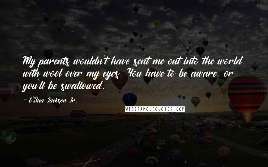 O'Shea Jackson Jr. Quotes: My parents wouldn't have sent me out into the world with wool over my eyes. You have to be aware, or you'll be swallowed.