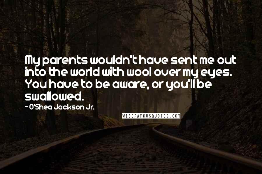 O'Shea Jackson Jr. Quotes: My parents wouldn't have sent me out into the world with wool over my eyes. You have to be aware, or you'll be swallowed.