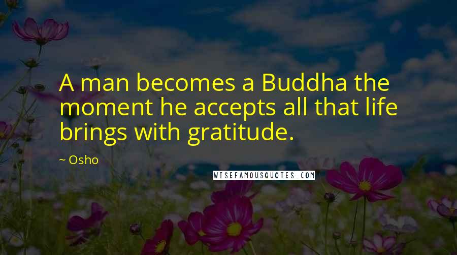 Osho Quotes: A man becomes a Buddha the moment he accepts all that life brings with gratitude.