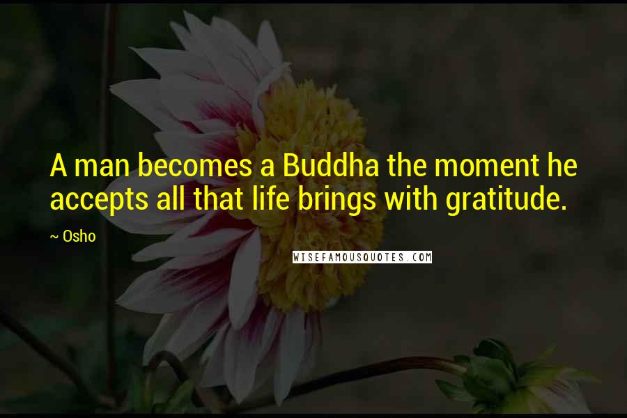 Osho Quotes: A man becomes a Buddha the moment he accepts all that life brings with gratitude.