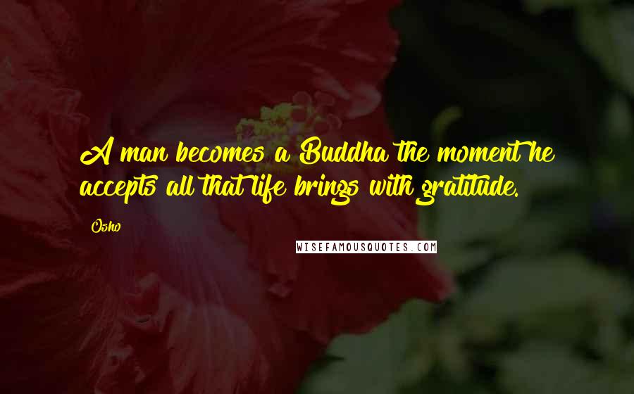 Osho Quotes: A man becomes a Buddha the moment he accepts all that life brings with gratitude.