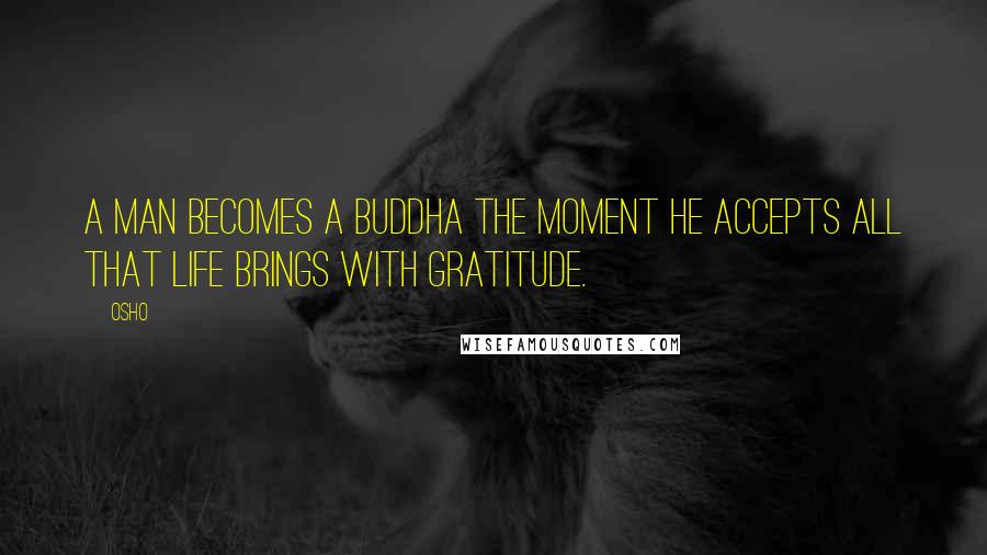 Osho Quotes: A man becomes a Buddha the moment he accepts all that life brings with gratitude.