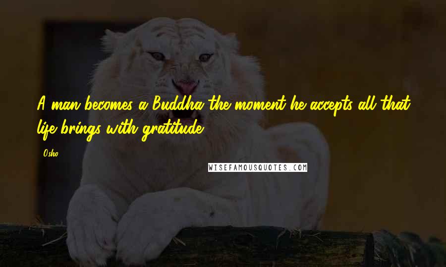 Osho Quotes: A man becomes a Buddha the moment he accepts all that life brings with gratitude.