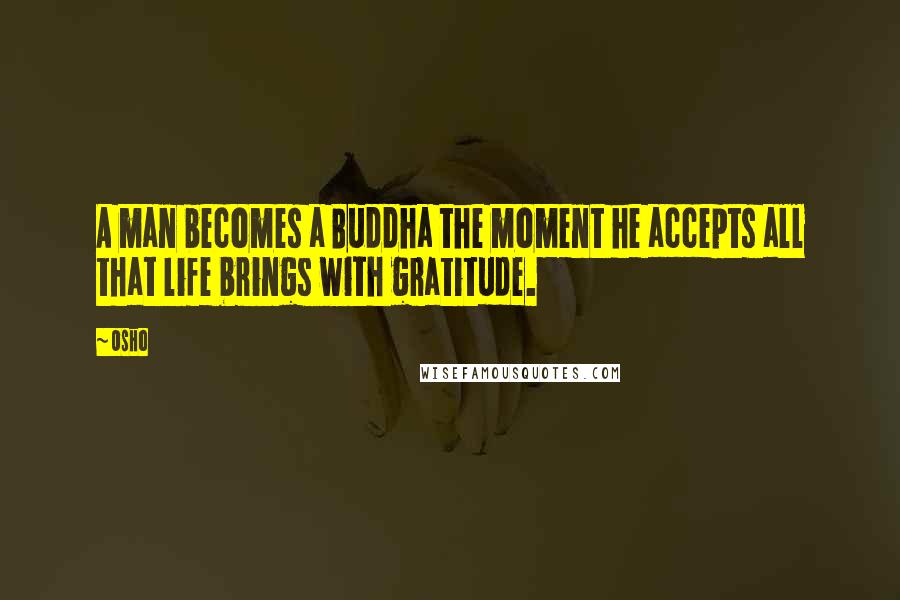 Osho Quotes: A man becomes a Buddha the moment he accepts all that life brings with gratitude.