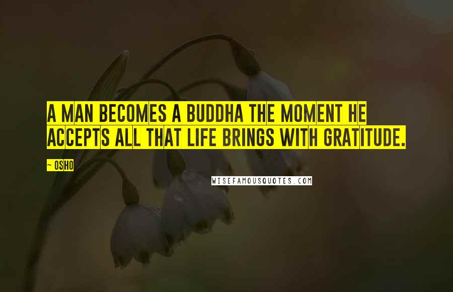 Osho Quotes: A man becomes a Buddha the moment he accepts all that life brings with gratitude.