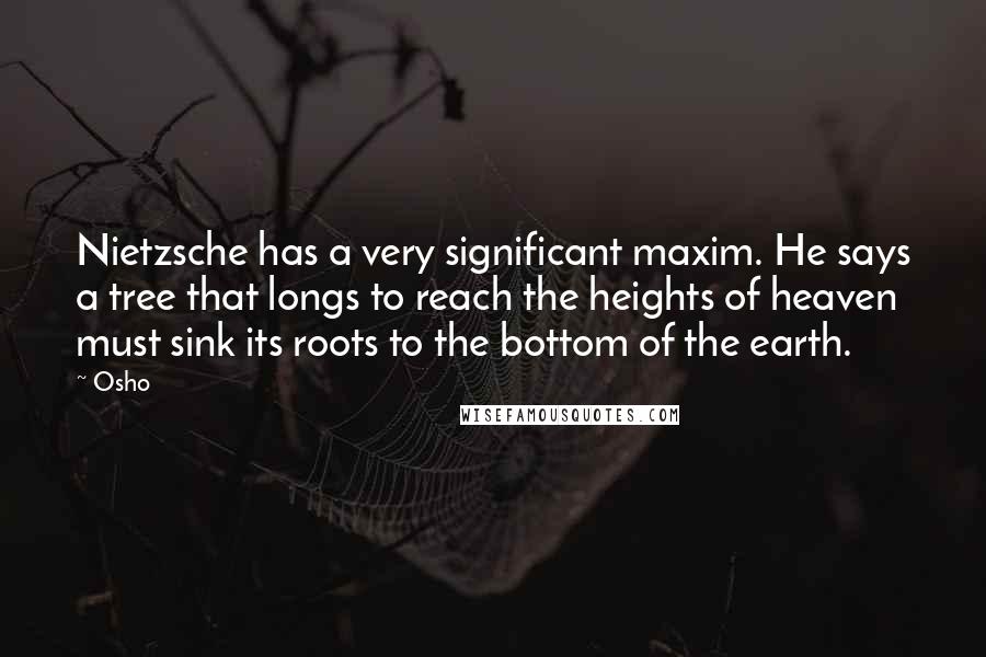 Osho Quotes: Nietzsche has a very significant maxim. He says a tree that longs to reach the heights of heaven must sink its roots to the bottom of the earth.