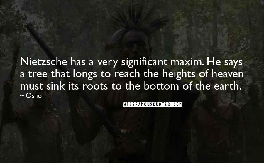 Osho Quotes: Nietzsche has a very significant maxim. He says a tree that longs to reach the heights of heaven must sink its roots to the bottom of the earth.