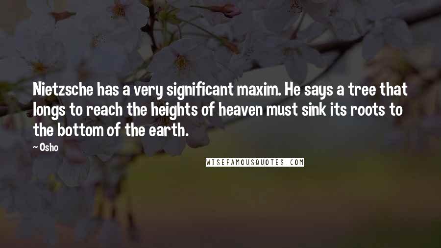 Osho Quotes: Nietzsche has a very significant maxim. He says a tree that longs to reach the heights of heaven must sink its roots to the bottom of the earth.