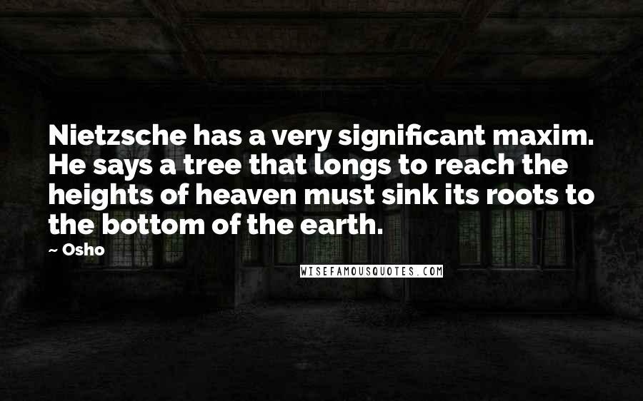 Osho Quotes: Nietzsche has a very significant maxim. He says a tree that longs to reach the heights of heaven must sink its roots to the bottom of the earth.