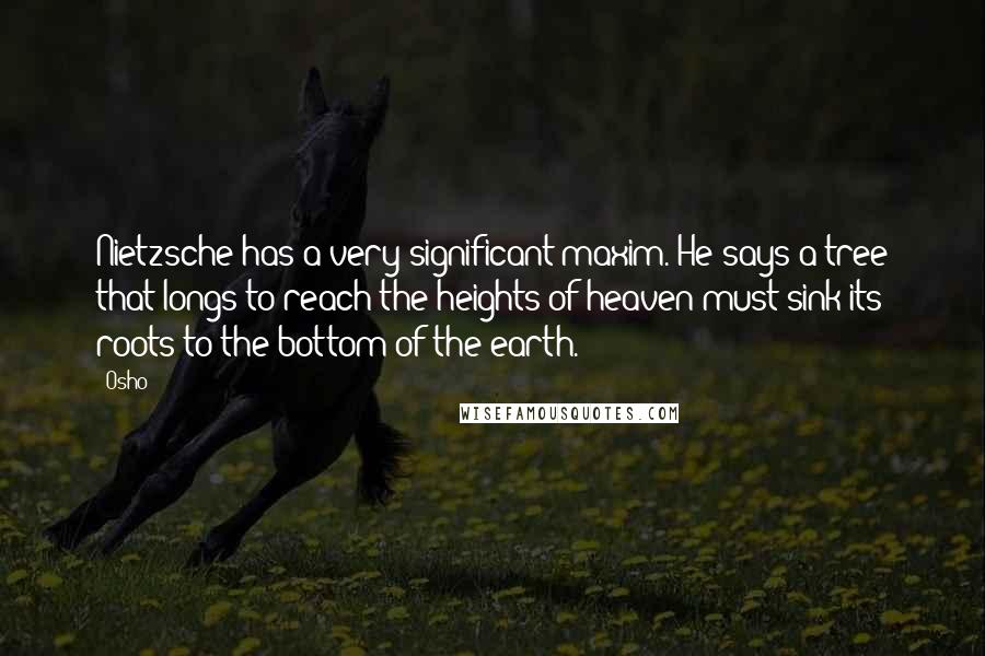 Osho Quotes: Nietzsche has a very significant maxim. He says a tree that longs to reach the heights of heaven must sink its roots to the bottom of the earth.