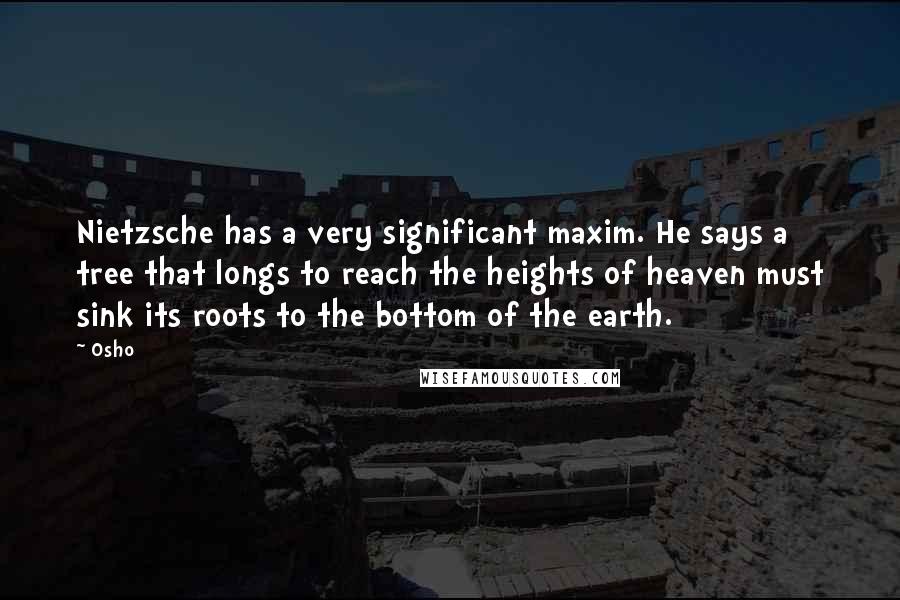 Osho Quotes: Nietzsche has a very significant maxim. He says a tree that longs to reach the heights of heaven must sink its roots to the bottom of the earth.