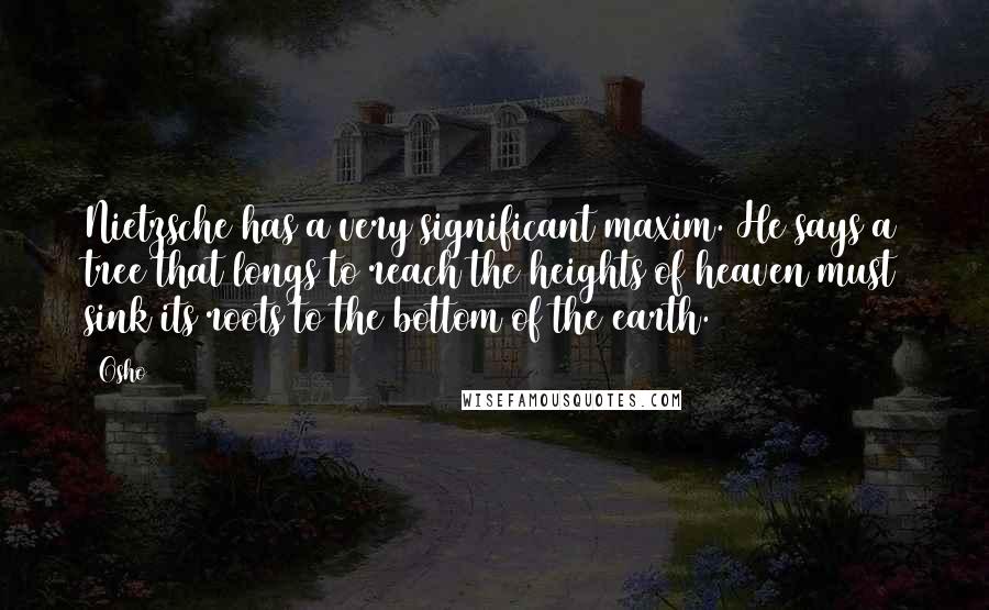 Osho Quotes: Nietzsche has a very significant maxim. He says a tree that longs to reach the heights of heaven must sink its roots to the bottom of the earth.