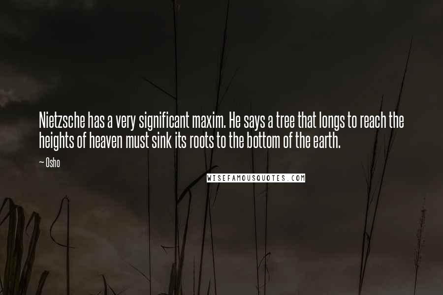 Osho Quotes: Nietzsche has a very significant maxim. He says a tree that longs to reach the heights of heaven must sink its roots to the bottom of the earth.