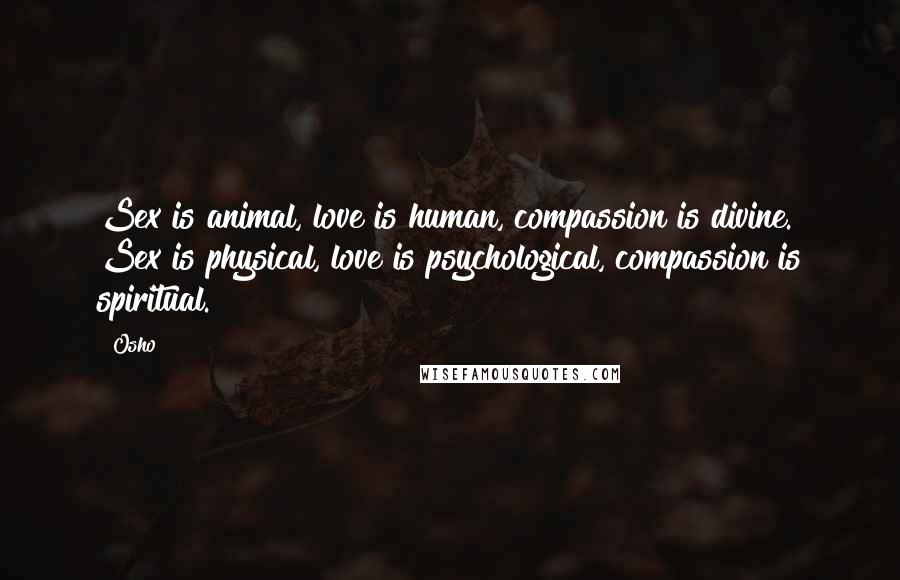 Osho Quotes: Sex is animal, love is human, compassion is divine. Sex is physical, love is psychological, compassion is spiritual.