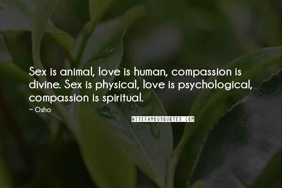 Osho Quotes: Sex is animal, love is human, compassion is divine. Sex is physical, love is psychological, compassion is spiritual.