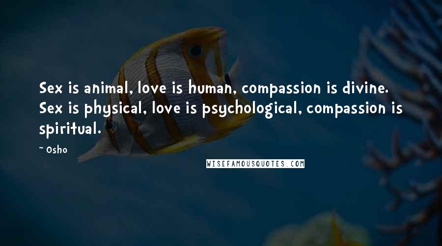 Osho Quotes: Sex is animal, love is human, compassion is divine. Sex is physical, love is psychological, compassion is spiritual.