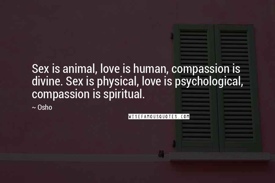 Osho Quotes: Sex is animal, love is human, compassion is divine. Sex is physical, love is psychological, compassion is spiritual.