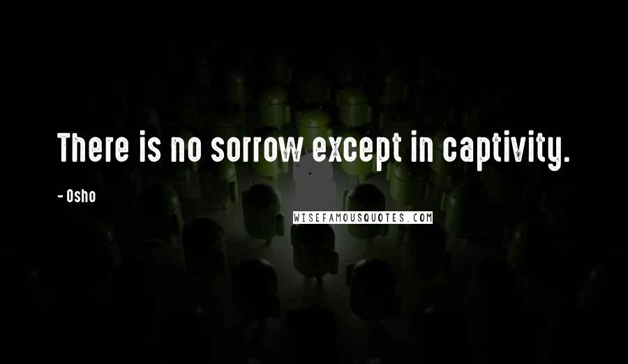 Osho Quotes: There is no sorrow except in captivity.