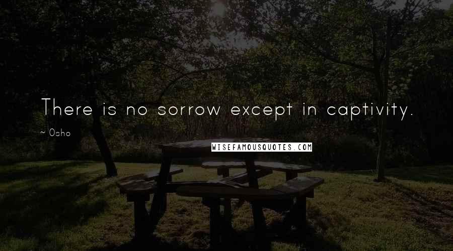 Osho Quotes: There is no sorrow except in captivity.