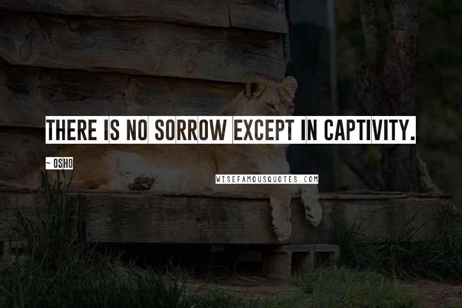 Osho Quotes: There is no sorrow except in captivity.