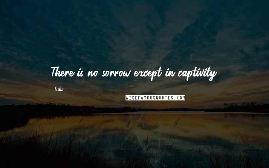 Osho Quotes: There is no sorrow except in captivity.