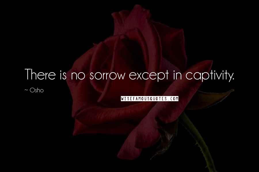 Osho Quotes: There is no sorrow except in captivity.